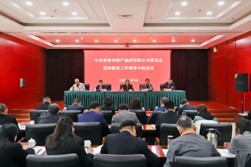 集团党委党的建设工作领导小组会议召开&nbsp;启动部署树立和践行正确政绩观学习教育工作