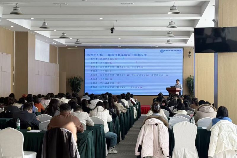 【笃行实干谱新篇】临空公司：党建领航激活力 实干攻坚促发展